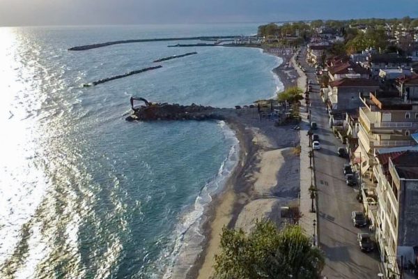 PLATAMONAS-06-2026_04