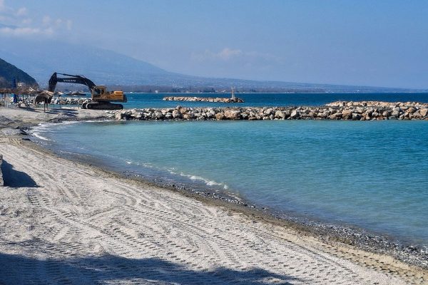 PLATAMONAS-06-2026_05