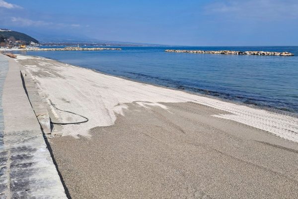 PLATAMONAS-06-2026_06
