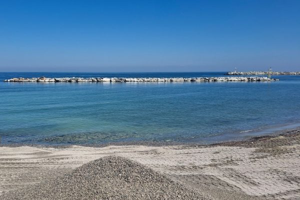 PLATAMONAS-06-2026_07