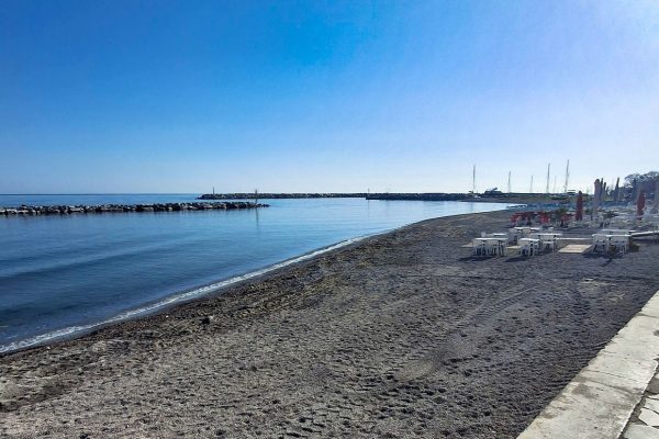 PLATAMONAS-06-2026_08